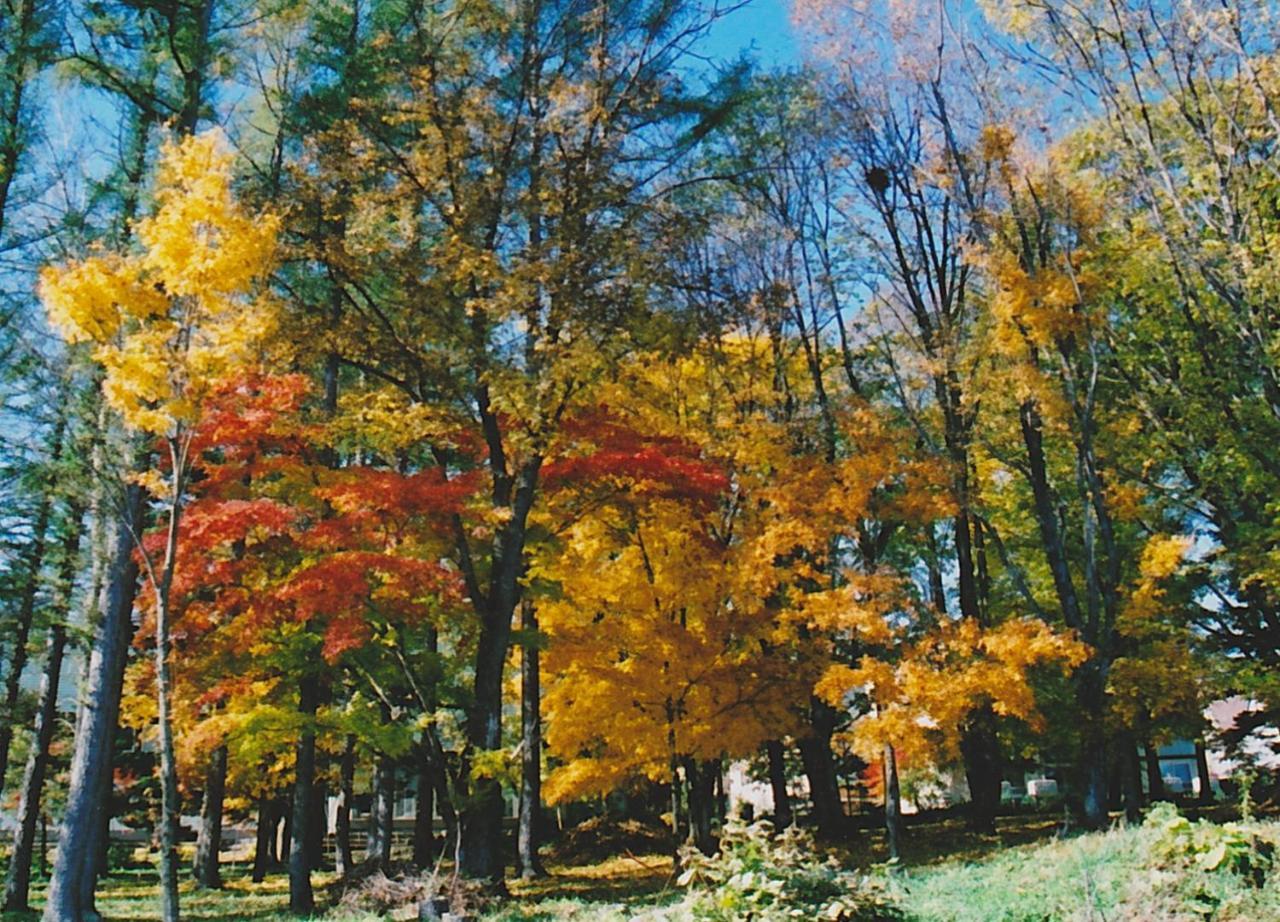 Cottage Morino Nakamatachi NakaNakafurano Buitenkant foto